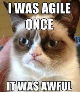 agilecat